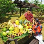 Penang Tropical Fruit Farm with Fruit Tasting - Practical Details to Consider