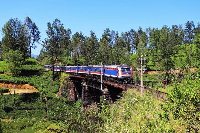Peradeniya to Nanu Oya train ride on (Train No: 1001 "Denuwara Menike") - Who Will Enjoy This Experience?