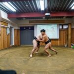 PERFECT Tokyo Day  Custom Private Tour by Award-Winning Operator - Who This Tour Is Best For