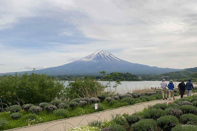 Personalized Mount Fuji Experience Customizable Full Day Trip - Who Will Love This Tour?