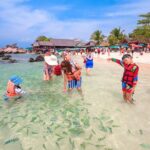Phi Phi Island from Phuket by Speedboat (SHA Plus) - What Travelers Say: Authentic Experiences and Concerns