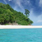 Phi Phi Maya Bay Bamboo Island by Speed Boat - Who This Tour is Perfect For
