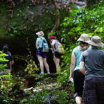Phnom Kulen Waterfall & the Sacred 1000 Lingas (with Lunch) - A Deep Dive into the Phnom Kulen Experience