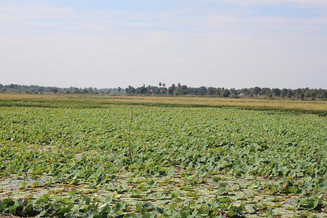 Phnom Penh to Siem Reap Cycling Tour - Who Will Love This Tour?