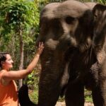 Phnom Tamoa Wildlife Rescue Center, Buddha Kiri Cambodia Day Tour - A Deep Dive into the Day’s Highlights