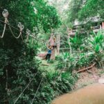 Phoenix Zipline Adventure Park  Chiang Mai Thrills - Authentic Feedback from Visitors