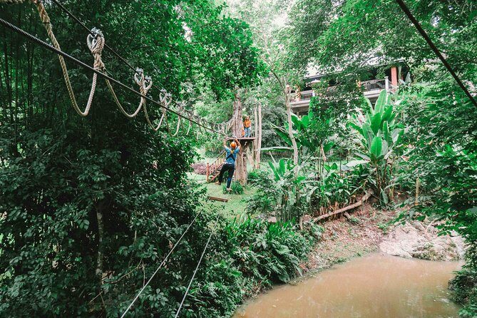 Phoenix Zipline Adventure Park  Chiang Mai Thrills - Authentic Feedback from Visitors