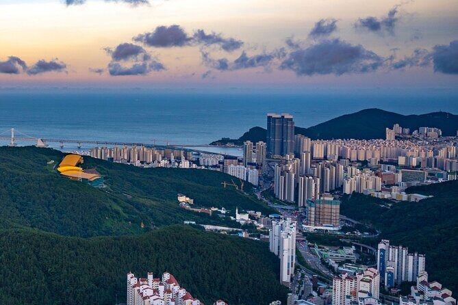 [Photography Tour] Busan Night Tour (Max. 7 Pax) - What Makes This Tour Stand Out?