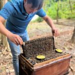 Phu Quoc Northern Discovery and River Kayaking Tour - FAQs