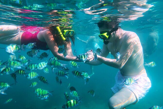 Phuket 3 Khai Island Speedboat With Snorkeling (Half or Full Day) - In-Depth Review of the Phuket 3 Khai Islands Speedboat Tour