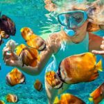 Phuket Coral Island Private Snorkeling Adventure All Inclusive - Why This Tour Stands Out