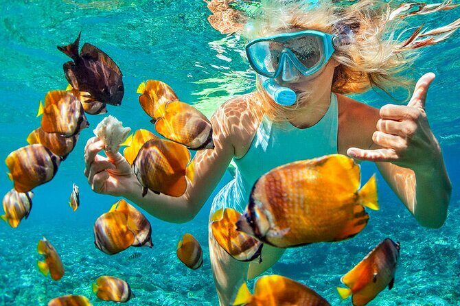 Phuket Coral Island Private Snorkeling Adventure All Inclusive - Why This Tour Stands Out