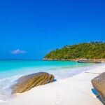 Phuket Coral & Racha Island Tour by Speedboat with Lunch - Authentic Experiences and Practical Tips