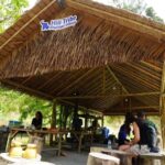 Phuket: Elephant Sanctuary Guided Tour with Hotel Transfers - A Detailed Look at the Phuket Elephant Sanctuary Tour