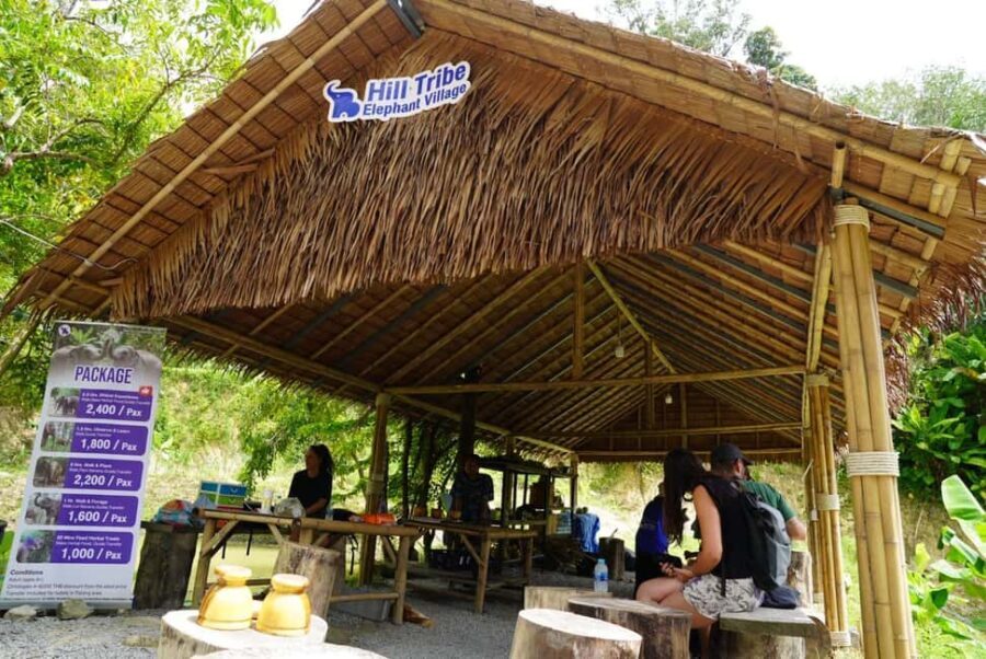 Phuket: Elephant Sanctuary Guided Tour with Hotel Transfers - A Detailed Look at the Phuket Elephant Sanctuary Tour