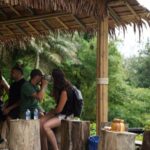 Phuket : Guided Tour to Elephant Sanctuary with Transfers - What the Reviews Say