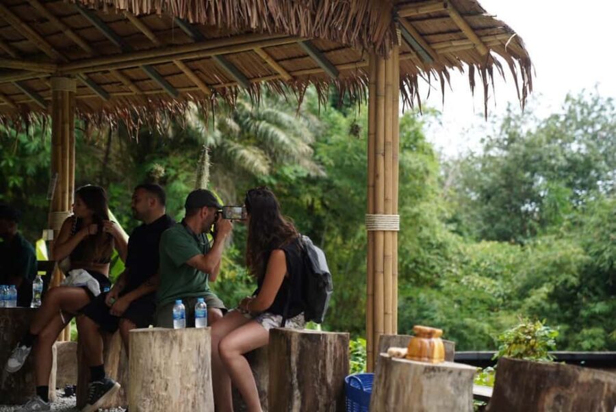 Phuket : Guided Tour to Elephant Sanctuary with Transfers - What the Reviews Say