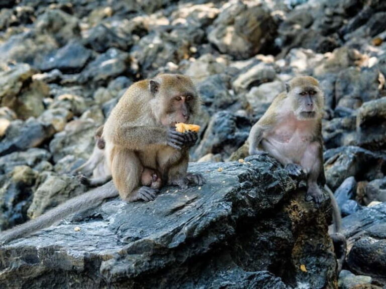 Phuket: James Bond Island Sea Canoe with lunch by Big Boat - Exploring the Itinerary: What You Can Expect