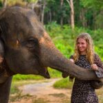 Phuket: Make & Meet The Gentle Giant Experience - Who Will Love This Tour?