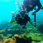 Phuket Scuba Diving Maiton Private Island Small Group or Snorkel - Practical Details and Considerations