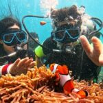 Phuket Scuba Diving: Racha Island Or Maiton Island For All Levels - Who Should Book This Tour?