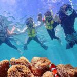 Pick-up OK1~70old99% Snorkelingsea turtles, fish and coral - FAQ