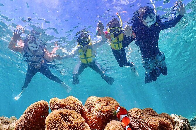 Pick-up OK1~70old99% Snorkelingsea turtles, fish and coral - FAQ