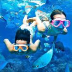 Pigeon Island Snorkeling Tour From Uppuveli Beach - What to Expect from the Tour