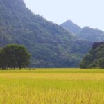 PiGo Ninh Binh E Bike Adventure - FAQ