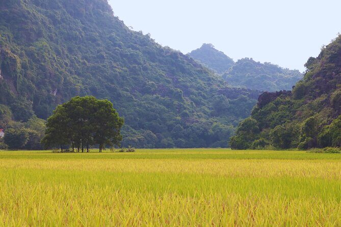 PiGo Ninh Binh E Bike Adventure - FAQ