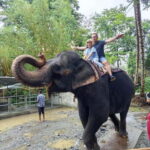 Pinnawala & Kandy Day Tour from Colombo or Negombo - The Sum Up: Is This Tour Right for You?