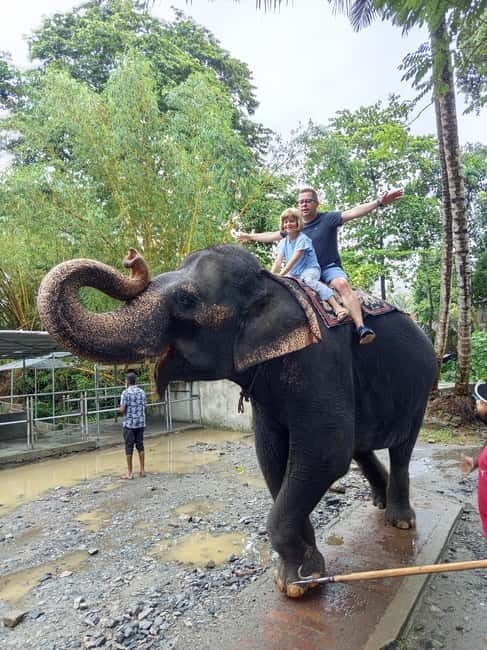 Pinnawala & Kandy Day Tour from Colombo or Negombo - The Sum Up: Is This Tour Right for You?