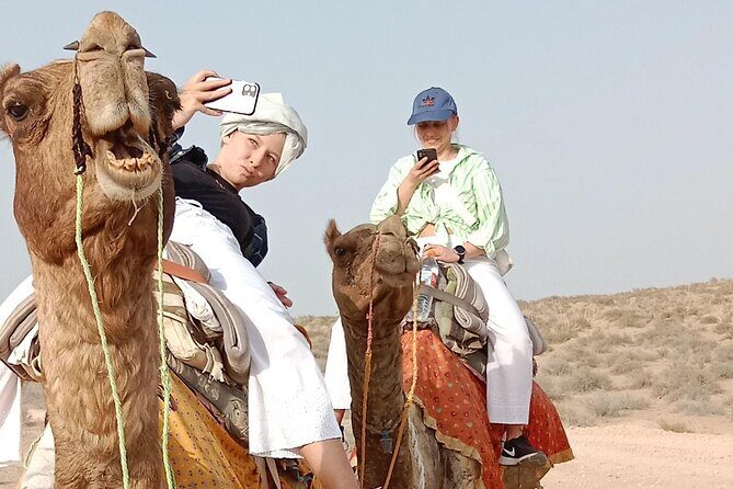 Pleasant Non-Touristic Overnight Camel Safari (From 2:00 PM to Approx. 10:30AM) - Who Is This Tour Best For?