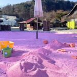 Pocheon Highlights 1 Day Tour - An In-Depth Look at the Pocheon Highlights Tour