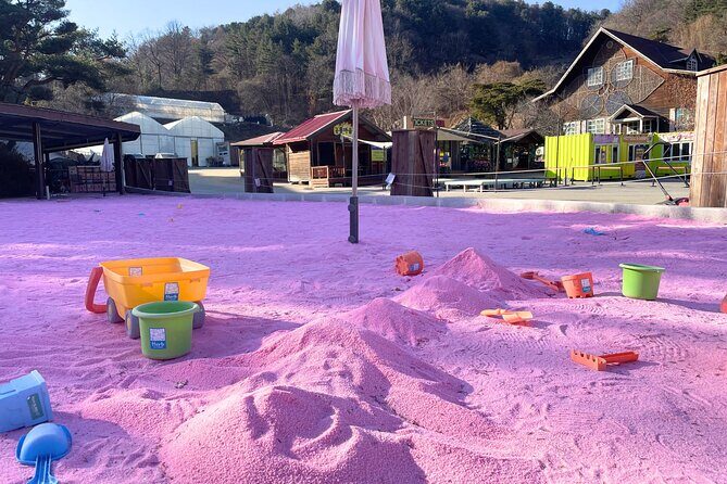 Pocheon Highlights 1 Day Tour - An In-Depth Look at the Pocheon Highlights Tour