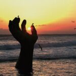 Pohang Customized Private Tour with a Licensed Tourguide - Who This Tour Is Best For