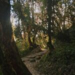 Pokhara: Annapurna Base Camp Trek with Meals and Guide-Nepal - The Value of Guided and All-Inclusive Travel