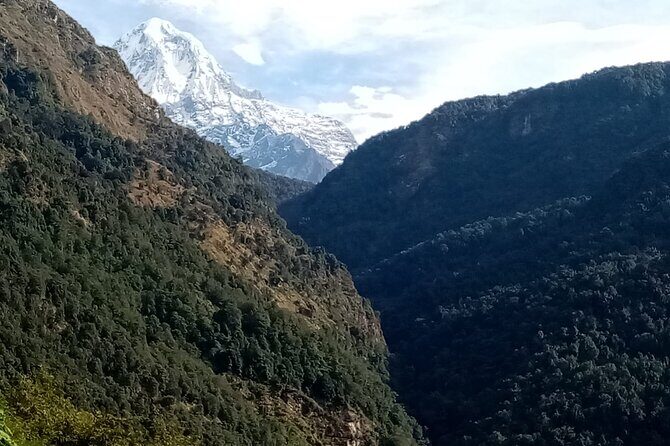 Pokhara Private Tour: 10 Days ABC Trek with Poon Hill - FAQ