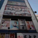 Pop Culture in Tokyo: A Self-Guided Walking Tour - Who Will Love This Tour?