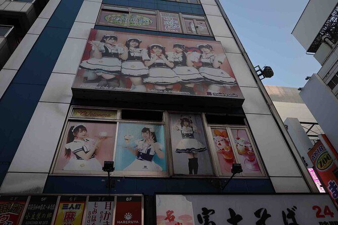 Pop Culture in Tokyo: A Self-Guided Walking Tour - Who Will Love This Tour?