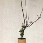 Principles of Japanese Design Led by an Architect PRIVATE Tour - FAQs