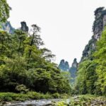 Private 1 Day Tour Zhangjiajie National Forest Park - Practical Details and Value