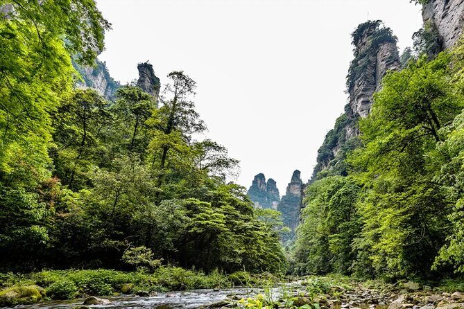 Private 1 Day Tour Zhangjiajie National Forest Park - Practical Details and Value