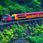 Private 10-hour chartered car service for Kyoto and Nara in Japan - Detailed Breakdown of the Tour Experience