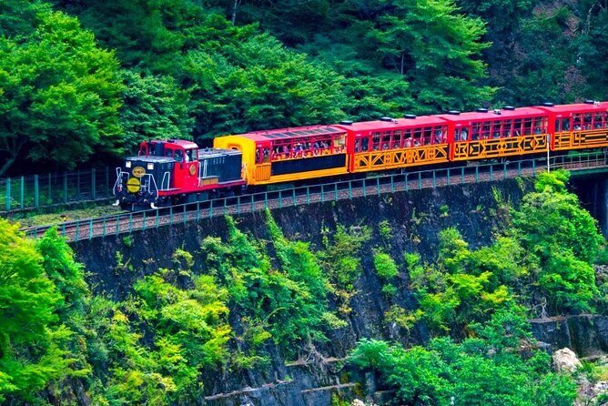 Private 10-hour chartered car service for Kyoto and Nara in Japan - Detailed Breakdown of the Tour Experience