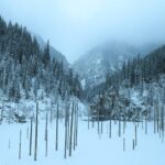 Private 2 Day Kaindy Kolsai Lake Charyn Canyon Private SUV Tour - What’s Included and What’s Not?