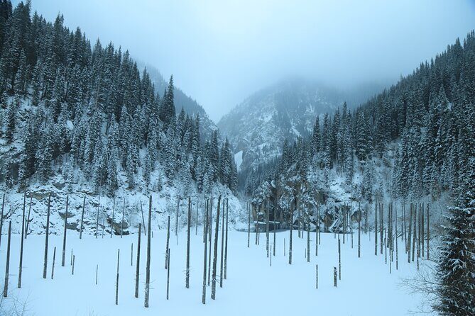 Private 2 Day Kaindy Kolsai Lake Charyn Canyon Private SUV Tour - What’s Included and What’s Not?