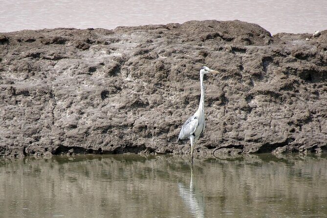 Private 3 Day Adventure through Dholavira and White Desert Rann - Why This Tour Offers Great Value