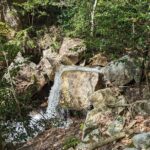 Private 3 Hours Waterfalls Sightseeing Tour - The Details That Make This Tour Stand Out