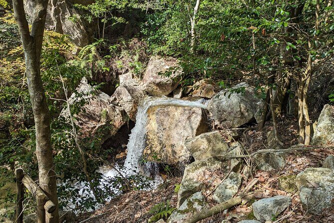 Private 3 Hours Waterfalls Sightseeing Tour - The Details That Make This Tour Stand Out